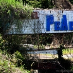 pearl hotel1.jpg